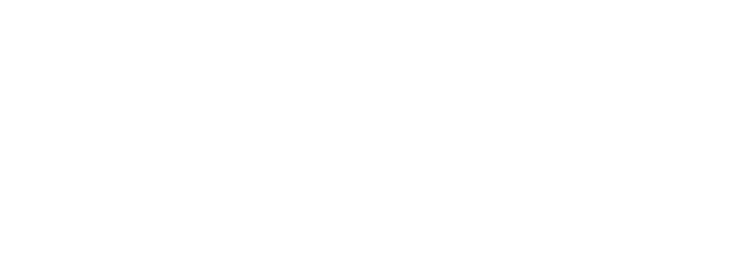 EagleVision-_dEaglevision-w-scaled