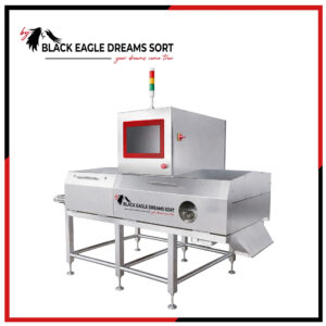 X-Ray and Ultrasound System EAGLE-B6080 - EAGLE-B4064