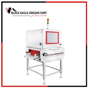 X-Ray and Ultrasound System EAGLE-P4020 - EAGLE-P6030