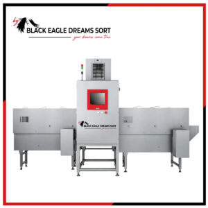 X-Ray and Ultrasound System EAGLE-V1628