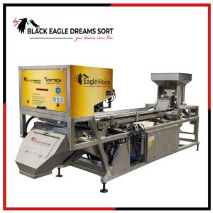 آلة فرز الألوان الأفقية L1 AI