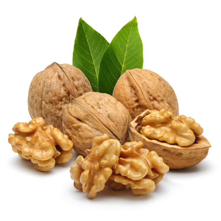 جوز